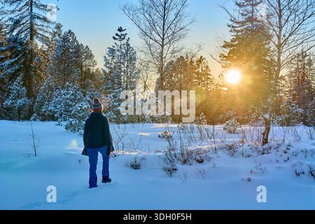 Femme âgée active randonnée dans le paysage hivernal enneigé au coucher du soleil dans le Bregenzerwald, Vorarlberg, Autriche Banque D'Images