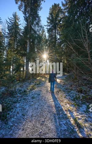 Femme âgée active randonnée dans le paysage hivernal enneigé au coucher du soleil dans le Bregenzerwald, Vorarlberg, Autriche Banque D'Images