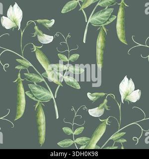Motif sans couture vintage avec des pousses, des brindilles, des feuilles, des fleurs et des gousses de pois verts. Illustration d'aquarelle dessinée à la main isolée sur fond vert foncé Banque D'Images