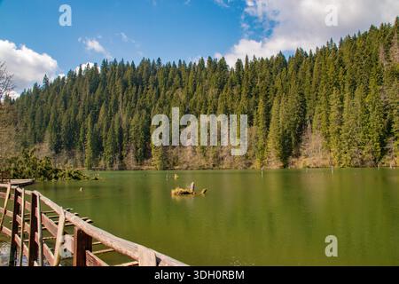 Red Lake est le plus grand lac de barrage naturel dans les montagnes de Roumanie, situé dans le comté de Harghita, au pied du massif de Hasmasul Mare. Banque D'Images
