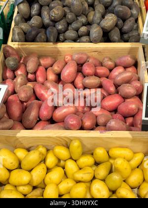 Trois types de pommes de terre exposées sur un étal de marché, y compris les pommes de terre rouges Laura, les pommes de terre violettes et les pommes de terre jaunes. Légumes biologiques frais pour co Banque D'Images