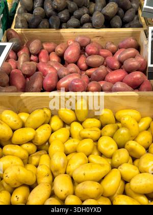 Trois types de pommes de terre exposées sur un étal de marché, y compris les pommes de terre rouges Laura, les pommes de terre violettes et les pommes de terre jaunes. Légumes biologiques frais pour co Banque D'Images