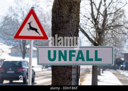 Buching, Allgäu, Bavière, Allemagne - 18 janvier 2026 : montage photo, un panneau de lecture d'ACCIDENT se trouve sur une route, devant un panneau d'avertissement de passage à la faune. La scène fait référence à des collisions avec des animaux sauvages et illustre le risque d'accidents sur les routes de campagne en hiver. *** Fotomontage, Ein Schild mit der Aufschrift UNFALL steht an einer Straße, davor ein Wildwechsel-Warnzeichen. Die Szene weist auf Wildlife-Kollisionen Hin und verdeutlicht die Unfallgefahr auf Landstraßen im Winter. Banque D'Images