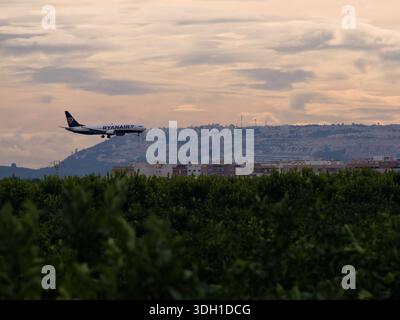 Avion atterrissant sur une piste derrière une ferme fruitière Banque D'Images