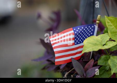 Une vue rapprochée d'un drapeau patriotique miniature des États-Unis affiché dans un pot de fleurs, entouré de feuilles de plantes vertes et violettes. L'image Banque D'Images