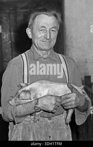 Agriculteur tenant un porcelet dans une étable, sur une ancienne ferme franconienne, noir et blanc, Bavière, Allemagne Banque D'Images