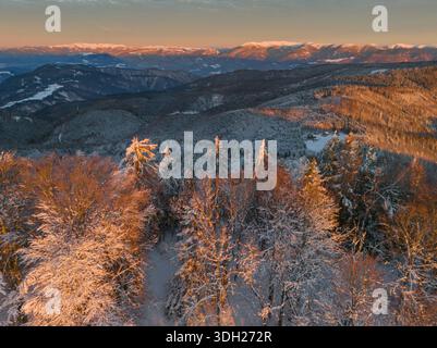 Vue aérienne de la canopée de la forêt enneigée brille chaleureusement sous la lumière dorée, contrastant avec les montagnes lointaines et enneigées, Lubietovsky Vepo Banque D'Images