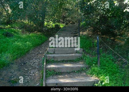 Des marches de pierre mènent vers le haut à travers un chemin boisé ombragé entouré de végétation verte et d'arbres. L'image capture un sentier extérieur calme avec naturel Banque D'Images