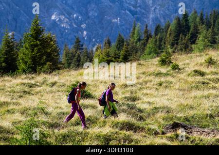 Italie, Frioul, Carnia — Carnics Alpes -Trekking Banque D'Images