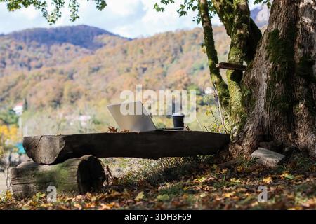Un ordinateur portable ouvert et une tasse à café jetable assis sans surveillance sur un banc en bois altéré à côté d'un grand arbre couvert de mousse dans une forêt automnale avec Banque D'Images