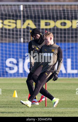 Dortmund, Allemagne 19 janvier 2026 : Champions League - 2025/2026 - Borussia Dortmund final Training dans l'image : de gauche à droite. Serhou Guirassy (Borussia Dortmund) et Daniel Svensson (Borussia Dortmund) lors de la dernière formation à Dortmund avant l'UCL Banque D'Images