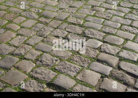 Chemin pavé avec de l'herbe verte poussant entre les pierres Banque D'Images