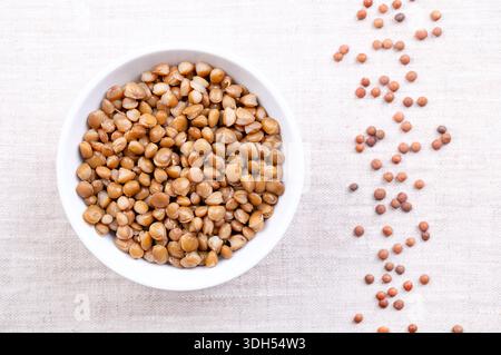 Lentilles cuites, petites lentilles brunes bouillies, dans un bol blanc sur lin. Lentilles de montagne en conserve non décortiquées, graines de Lens culinaris, légumineuse et aliment de base. Banque D'Images