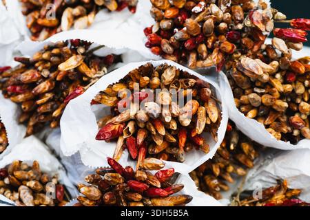 Un vif affichage de piments séchés dans des tons de rouge et de brun, soigneusement emballés dans des sacs en papier blanc. Cette scène de marché frais offre naturel ingred Banque D'Images