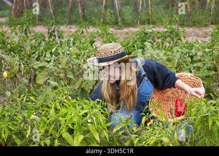Une femme en salopette et un chapeau de paille récolte des légumes frais dans un jardin luxuriant, entouré de verdure. Elle utilise un panier tissé pour recueillir son bountif Banque D'Images