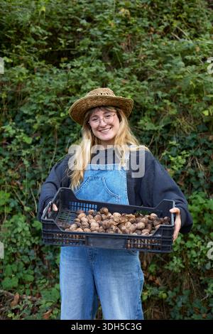 Une femme portant un chapeau de paille et une salopette en denim récolte joyeusement les noix dans un jardin luxuriant. Elle tient un panier rempli de noix fraîchement cueillies, embodyi Banque D'Images