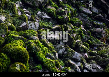 Texture de mur de roche avec mousse et surface de pierre naturelle altérée Banque D'Images