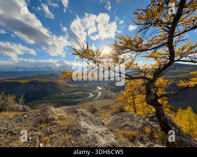 Paysage d'automne ensoleillé dans l'Altaï avec des montagnes sinueuses enneigées de rivière dans la distance rochers accidentés et arbres jaunes créent une scène dramatique chaude. Banque D'Images