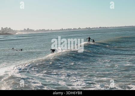 Surfeurs sur Mar del Plata, Buenos Aires, Argentine Banque D'Images