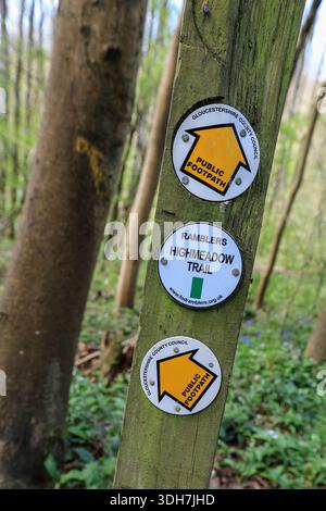 Un poteau en bois et des marqueurs de voie avec des flèches jaunes indiquant public Footpath et un panneau indiquant 'Highmeadow Trail', Herefordshire, Angleterre, Royaume-Uni Banque D'Images