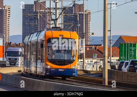 Straßenbahn auf der Kurt-Schumacher-Brücke, die Mannheim und Ludwigshafen über den Rhein verbindet. Betrieben wird das Straßenbahnnetz von der Rhein-Neckar-Verkehr GmbH RNV. // 16.01.2026, Mannheim, Bade-Württemberg, Deutschland *** tramway sur le pont Kurt Schumacher reliant Mannheim et Ludwigshafen par le Rhin le réseau de tramways est exploité par Rhein Neckar Verkehr GmbH RNV 16 01 2026, Mannheim, Bade-Württemberg, Allemagne Banque D'Images