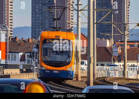 Straßenbahn auf der Kurt-Schumacher-Brücke, die Mannheim und Ludwigshafen über den Rhein verbindet. Betrieben wird das Straßenbahnnetz von der Rhein-Neckar-Verkehr GmbH RNV. // 16.01.2026, Mannheim, Bade-Württemberg, Deutschland *** tramway sur le pont Kurt Schumacher reliant Mannheim et Ludwigshafen par le Rhin le réseau de tramways est exploité par Rhein Neckar Verkehr GmbH RNV 16 01 2026, Mannheim, Bade-Württemberg, Allemagne Banque D'Images