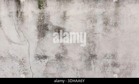 Vue détaillée d'un mur en béton altéré présentant des taches de moisissure foncées, un grain de surface fin et une fissure verticale proéminente, idéal pour les applications industrielles granuleuses Banque D'Images