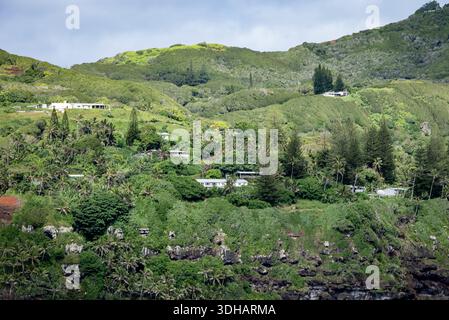 Vue sur les collines verdoyantes parsemées de maisons pittoresques et de palmiers, descendant en cascade vers la côte rocheuse, une île paradisiaque sereine, Adamstown, Pitcair Banque D'Images