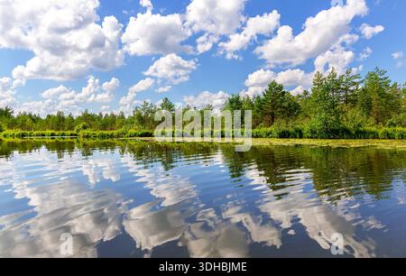 Beau paysage aquatique avec des nuages reflétés dans l'eau d'un lac forestier par une journée d'été ensoleillée Banque D'Images