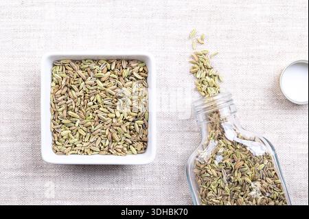 Graines de fenouil, dans un bol blanc de forme carrée sur lin. Fruits de fenouil, appelés par erreur graines, avec un goût anis, utilisés comme épices alimentaires et en cuisine. Banque D'Images