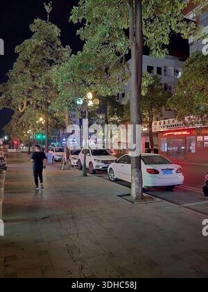 Scène nocturne de la rue de la ville avec piétons, arbres et voitures garées Banque D'Images