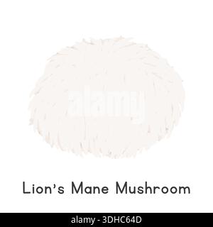 Illustration vectorielle de champignon Lion's Mane, Clipart de dessin animé, légume dans le style plat. Aussi appelé Yamabushitake, champignon barbu, hérisson barbu Illustration de Vecteur