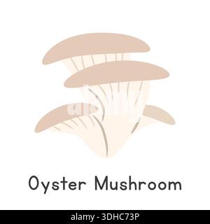 Illustration vectorielle de champignon d'huître. Clipart de dessin animé de champignon d'huître, légume dans le style plat. Aussi appelé Tree Oyster, Grey Oyster, Hiratake Illustration de Vecteur
