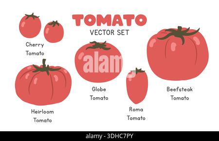 Tomate types Flat Cartoon Vector Set isolé sur fond blanc. Globe, Cherry, Roma, Heirloom et Beefsteak Tomato Illustration de Vecteur