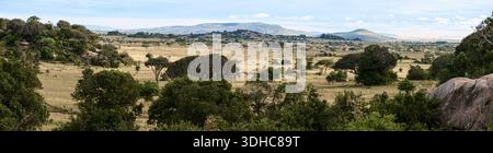 Paysage pittoresque dans le mara maasai avec des collines ondulantes, des acacia éparpillés et de vastes prairies sous un ciel nuageux Banque D'Images