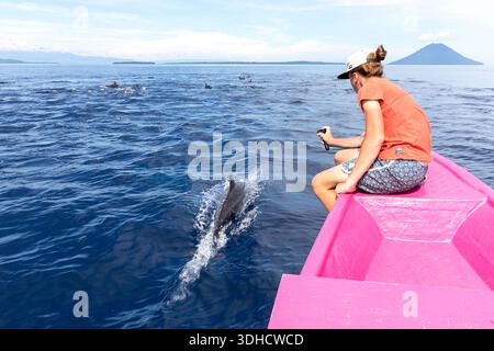Beaux dauphins Spinner à long nez dans une eau près de l'île Bunaken de Sulawesi en Indonésie, rencontre touristique rapprochée avec des dauphins d'un bateau Banque D'Images