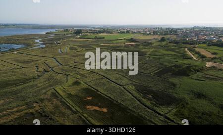 Ce drone grand angle capture le réseau complexe de canaux d'eau qui sillonnent des marais verdoyants et des champs agricoles, en transition Banque D'Images