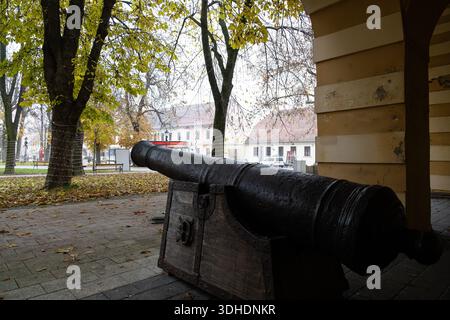 Un grand canon historique repose à côté d'une structure en bois dans un parc tandis que les feuilles d'automne couvrent le sol. La scène mêle une vieille histoire militaire à un calme Banque D'Images