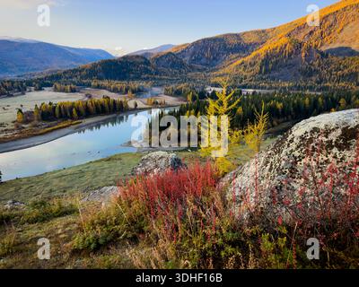 Le paysage d'automne montre une rivière calme serpentant à travers des collines boisées sous la lumière dorée. Les mélèzes colorés se regroupent près du premier plan rocheux, créant un contraste éclatant. La scène saisonnière sereine évoque la beauté de la nature Banque D'Images