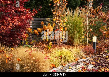 Des plantes dans les tons de rouge, jaune et brun remplissent le jardin pendant l'automne. Banque D'Images