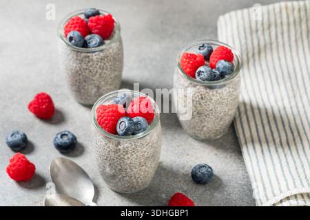 Sucré sain Chia Seed Pudding avec lait d'amande et baies Banque D'Images