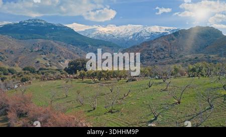 Large panorama aérien de la Sierra Nevada sommets enneigés au-dessus des vallées andalouses verdoyantes avec oliveraies champs ruraux arbres lumineux de printemps ensoleillé Banque D'Images