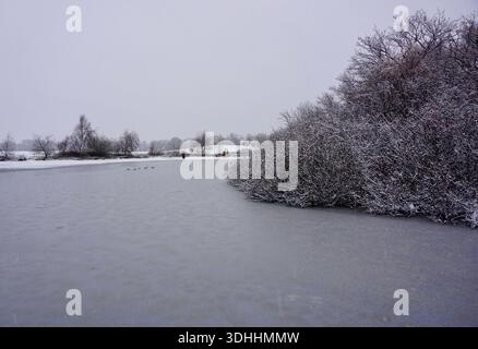Lac gelé et arbres enneigés à Wanstead Flats pendant les chutes de neige hivernales, Forest Gate, East London, Royaume-Uni Banque D'Images