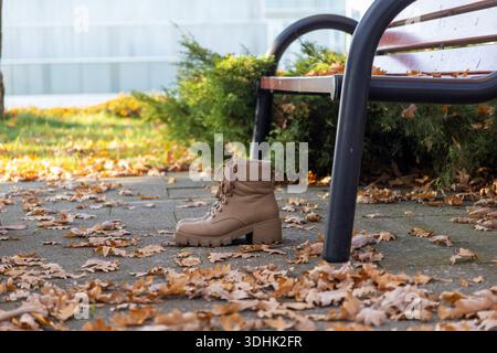 Vue rapprochée d'une paire de bottes de combat beiges robustes avec lacets, placées sur un trottoir ensoleillé, entourées de feuilles de chêne brun, parfaites pour l'automne Banque D'Images