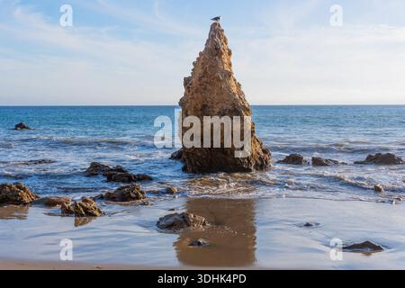 Mouette solitaire repose au sommet d'une pile de mer distinctive, s'élevant de la rive de la plage d'État d'El Matador, les vagues lançant doucement. Banque D'Images
