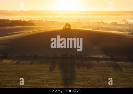 Vue aérienne des touffes de Wittenham couronnées de lumière dorée, le paysage baigné d'une lueur chaude, projetant de longues ombres à travers les champs d'Oxfordshire, Witt Banque D'Images