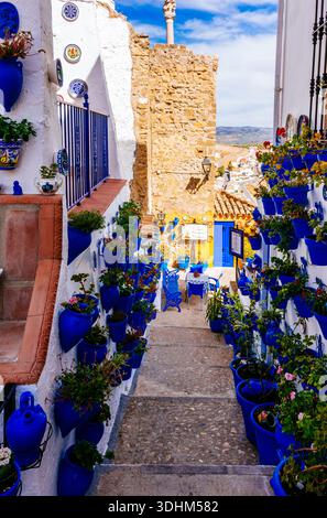 Rue étroite remplie de pots de fleurs bleus. Iznájar, Córdoba, Andalucía, Espagne, Europe Banque D'Images