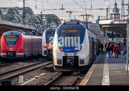 Regionalzüge im Bahnhof Köln-Messe/Deutz, 2. größter Bahnhof in Köln, Umsteigebahnhof zwischen dem Fern- und Nahverkehr, Messebahnhof, 8 Bahnsteiggleise, NRW, Allemagne, Zugverkehr Köln *** trains régionaux à la gare de Cologne Messe Deutz, 2ème plus grande gare de Cologne, station de transfert entre les transports longue distance et locaux, gare des foires commerciales, 8 voies de quai, NRW, Allemagne, service de train de Cologne Banque D'Images