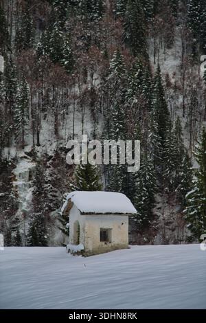 Une scène hivernale sereine à Montafon, en Autriche, avec un petit bâtiment enneigé entouré d'arbres. Banque D'Images