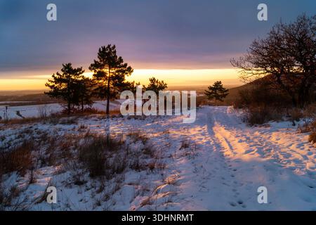 Lever de soleil doré sur une colline enneigée : paysage hivernal tranquille avec des empreintes de pas Banque D'Images